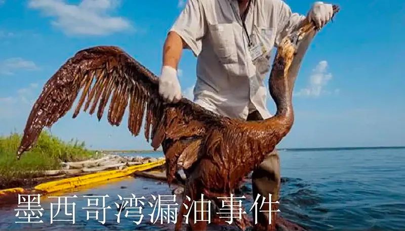 被海上溢油“染黑”的海岸线PA视讯环保热解技术助力守护海洋生命线